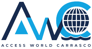 accessworld.shop